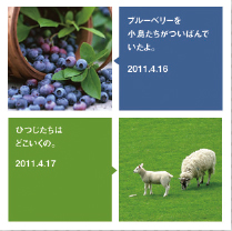 【2-3】写真と吹き出しの色がばらばらだと、対応関係がわかりづらい