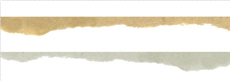 【1-1】パスのみ使用するので、「パス」を選択