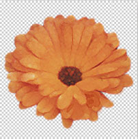 【3-1】フィルタの組み合わせは色々と試してみよう