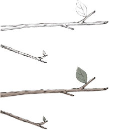 【4-2】上:彩色前/下:彩色後線画から少しはみ出すように、ラフに彩色するのがポイント