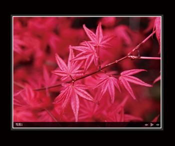 魅力的なWebサービスが続々と出現し、そのコンテンツにアクセスするためのAPIも多くが公開されている。その中でも特に需要の多いTwitterを例に、基本的なWeb APIの利用法を紹介しよう。