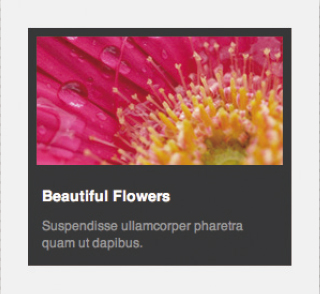 【1-2】マウスオーバー時