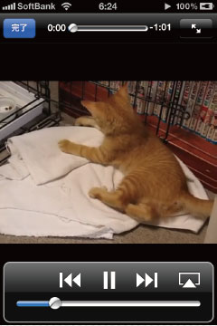 【2-2】動画を再生してみる。QuickTimeアプリケーションのコントローラなどが表示される