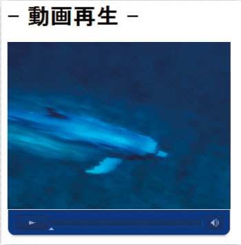 【6】(1)の場合は、そのままFlashが表示される