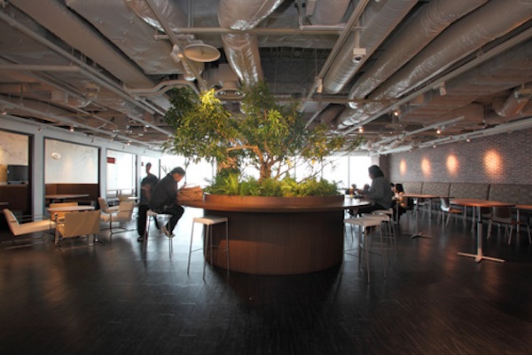 同じくSakura Cafe。エントランスや執務室とは異なり、天井は白。解放感がある。中央部には、沖縄より取り寄せた立派な樹木が、無機質になりがちな空間に潤いを与えている。夜はプロジェクターで、野球中継を映し出すこともあるとか