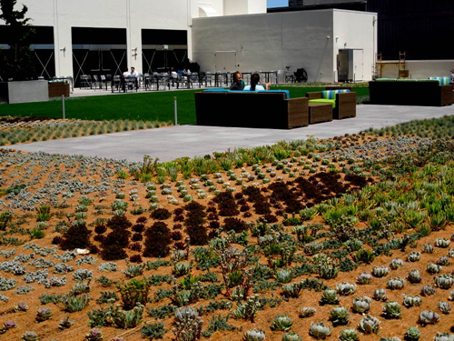 社内カフェから外に出ると、そこは青い空、そして気持ちのいい庭園。青空ミーティングは楽しいものの、日焼けにはご用心