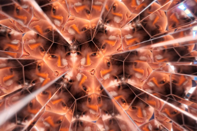 試しに(というか言われるがままに)万華鏡を通して筆者の顔を撮ってもらった