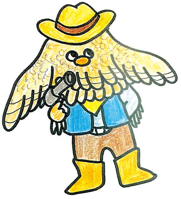 >ポンモップラフ案