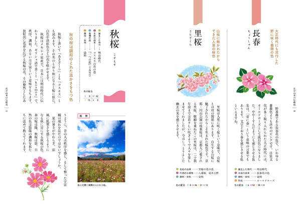 花に由来する色　「長春」「里桜」「秋桜」