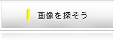 �摜��T����
