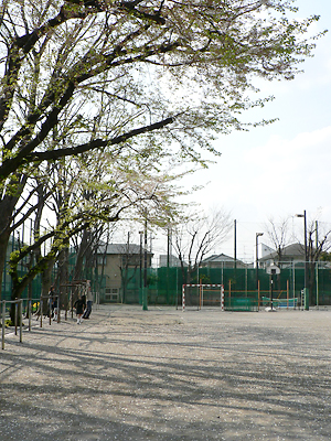 選挙会場となっている近所の学校の校庭。ぽかぽかとあたたかい……春ですね?