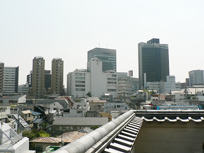 屋上からの眺めはこんな感じ