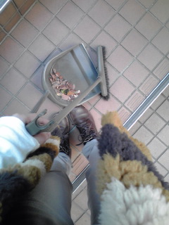 ちりとりで集める枯れ葉が少なくなりました