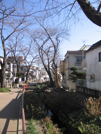 キレイな緑道です