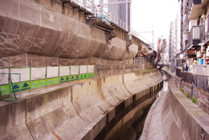 渋谷川の現状