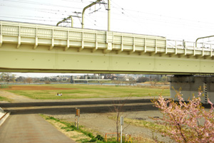 春らしくなってきた河原