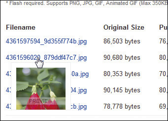 ファイル名にカーソルを合わせるとプレビュー画像が表示される