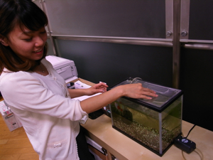 デザイナーの大村さんと金魚のポニョ。みんなボニョに日々癒されています！