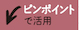 ピンポイント活用