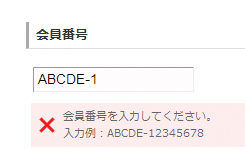 【3-2】フォーマットエラー