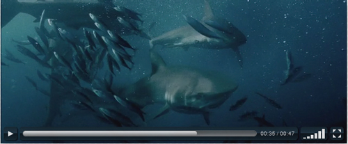 【5】VideoJS:http://videojs.com/