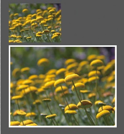 【7-2】photosフォルダの画像に枠がついた