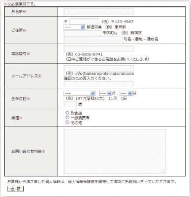 【02】Contact Form 7 プラグインの使用例（http://www.salesrepinternational.com/mail.html）