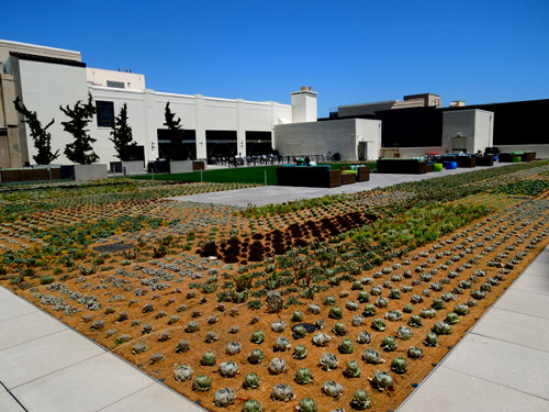 社内カフェから外に出ると、そこは青い空、そして気持ちのいい庭園。青空ミーティングは楽しいものの、日焼けにはご用心