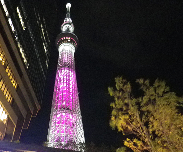 skytree_light