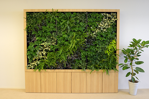 デジタルハリウッド株式会社のエントランスに設けられたウェイティングルーム。壁面緑化やセンスのいい本がディスプレイされた居心地のいい空間だ