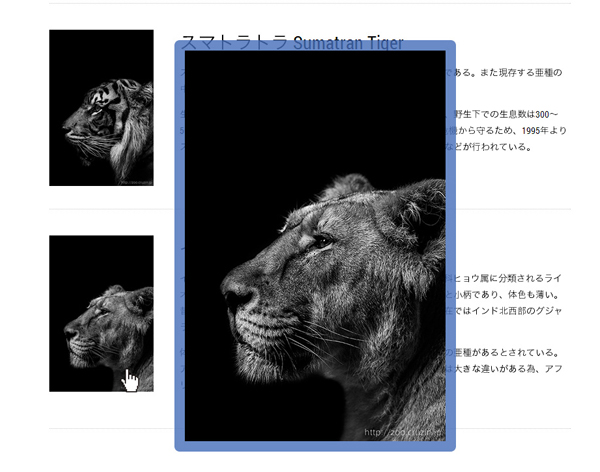 今回のサンプル