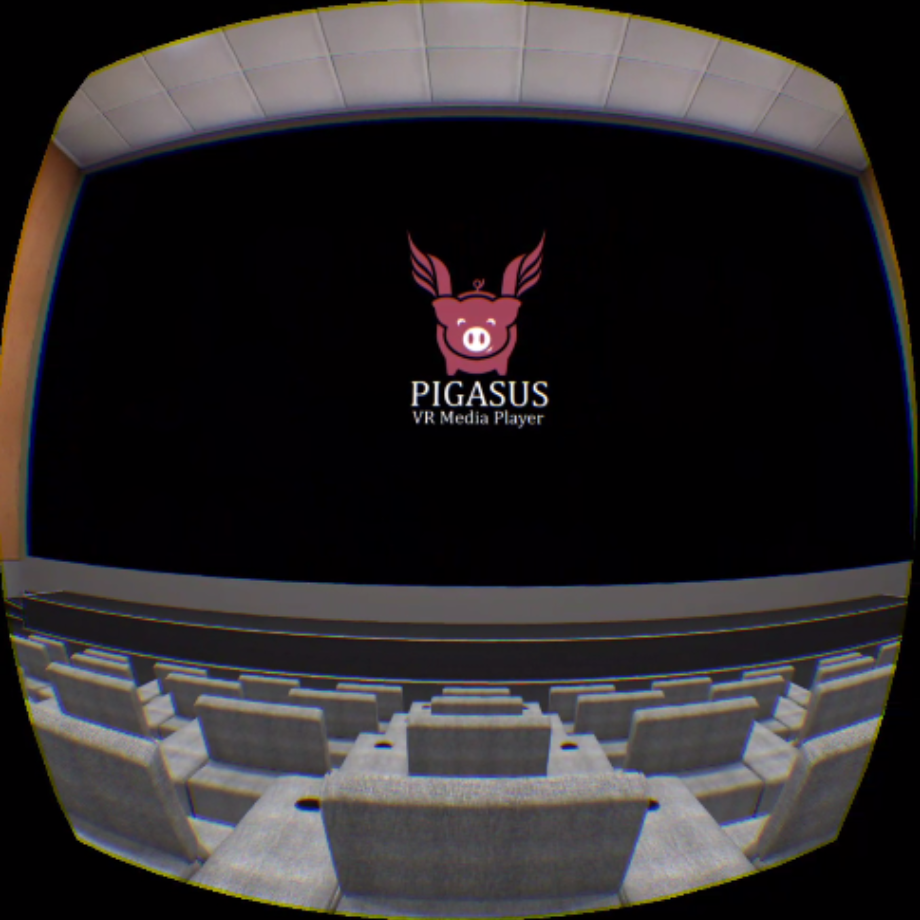 動画アプリ「Pigasus VR Media Player」。ネットワーク上の動画を鑑賞できます