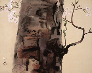 川端龍子 《さくら》 20 世紀(昭和時代)　絹本・彩色　山種美術館