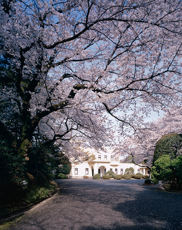 東京都庭園美術館　外観と桜