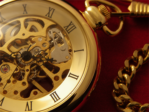 接写性能の高さを生かして、約10cmの距離から撮影。ズームアップすれば、さらに大きく写すこともできる