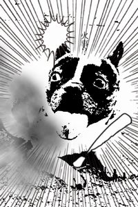 漫画にできる