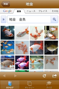 「イメージ検索」画面。イメージ検索と動画検索にも対応しており、品種ごとに他の画像や動画も多数見ることが出来る