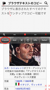 ブラウザに表示された全てのテキストはワンタップでコピーできる