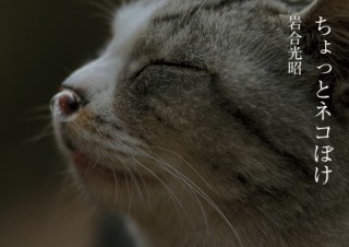小学館、岩合光昭氏のiPad向け写真集アプリ「ちょっとネコぼけ」を提供開始