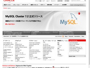 日本オラクル、企業のIT変革を支援する「Oracle Architecture Insight」を提供開始