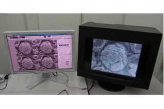 日立ハイテクとナナオ、リアルタイムに裸眼で3D観察できる電子顕微鏡を開発