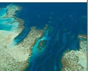 呼吸する 環礁（アトール）— モルディブ・日本現代美術展 帰国展 