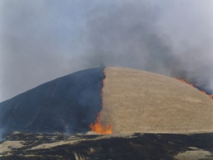 川内倫子展　照度 あめつち 影を見る