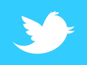デジタルガレージ、米Twitter社のSite Streams APIを使いビッグデータ事業に参入