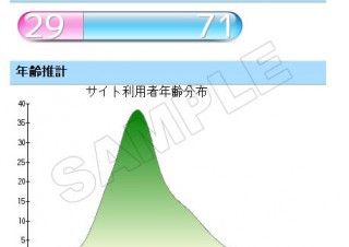 年齢、性別解析もできる地図表示対応アクセス解析ツール「なかのひと」β版