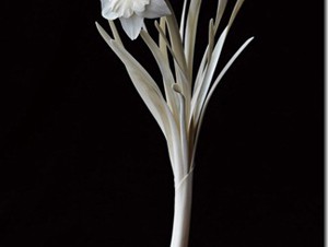 彫刻家・橋本雅也 「殻のない種」展