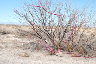 清水裕貴展「ホワイトサンズ」