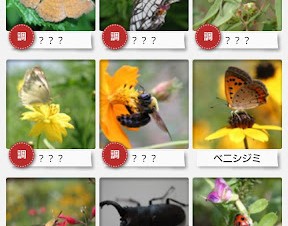 撮影した虫の名前や特徴を調べられるAndroidアプリ「虫判定器」が登場