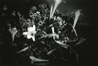 SMILE・フォト倶楽部vol.15写真展「The rhythm of light」