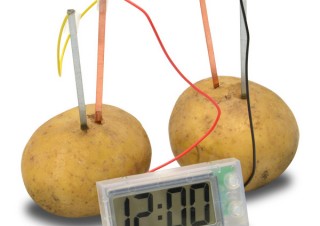 JTT、野菜や果物などに繋いで動かせる「じゃがいも eco 時計」を発売